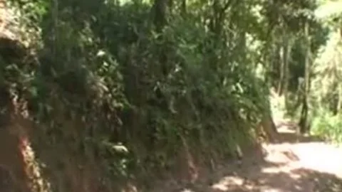 busty brunette Stgreetingss guymale booty Wrecked