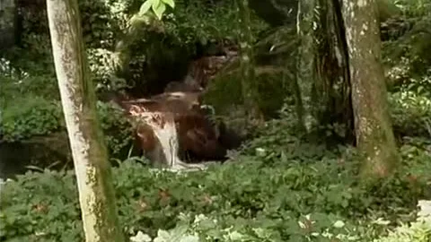 Outdoor filthy Bonking