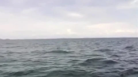 Ladyboys Paradise IsLand On The Open Water