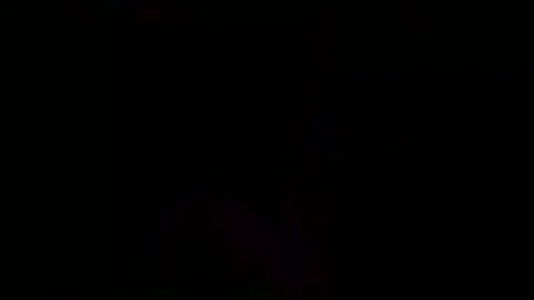 Sucked Off A Translady In A suit Room