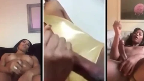 ebon Trans Tri Screen cum Shots