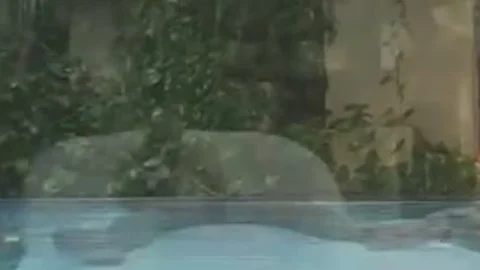 Suzany Petrovick Follada En Piscina