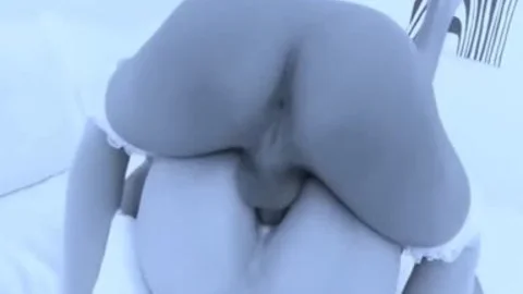 tranny Dream